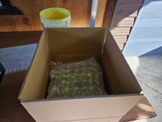 권오율님의 2024년 출석왕중왕 결과 공유해요 👑 · 참여글 작성글 사진