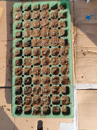 김민수산에서농사중님의 자유주제 · 자유게시판 작성글 사진