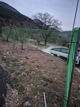 시골농부뜨돌이님의 2024년 출석왕중왕 결과 공유해요 👑 · 참여글 작성글 사진