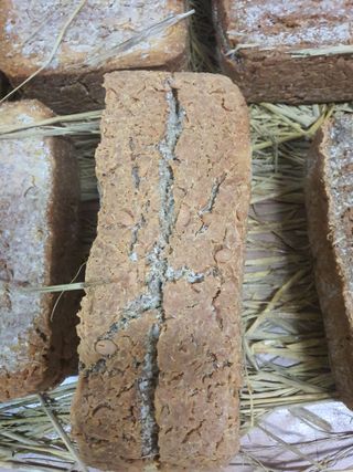 엘림농장님의 자유주제 · 칭찬해요 작성글 사진