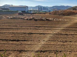 허정양님의 2024년 출석왕중왕 결과 공유해요 👑 · 참여글 작성글 사진