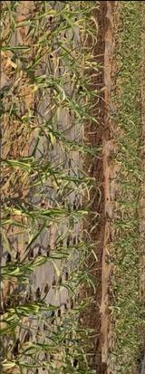 팜모닝 2024년 출석왕중왕 결과 공유해요 👑·참여글 게시글 이미지