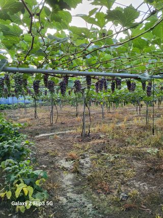 이상만님의 2024년 출석왕중왕 결과 공유해요 👑 · 참여글 작성글 사진