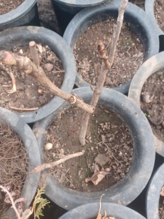 무료지식나눔 팜닥터님의 자유주제 · 자유게시판 작성글 사진