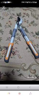 팜모닝 2024년 출석왕중왕 결과 공유해요 👑·참여글 게시글 이미지