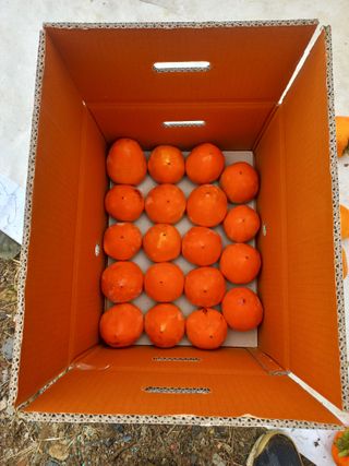 김년욱님의 2024년 출석왕중왕 결과 공유해요 👑 · 참여글 작성글 사진