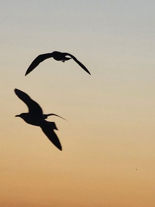 황철환님의 작성글 사진