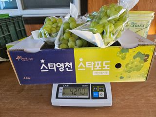 권오율님의 2024년 출석왕중왕 결과 공유해요 👑 · 참여글 작성글 사진