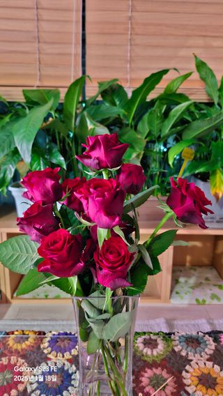 법공성산님의 2024년 출석왕중왕 결과 공유해요 👑 · 참여글 작성글 사진