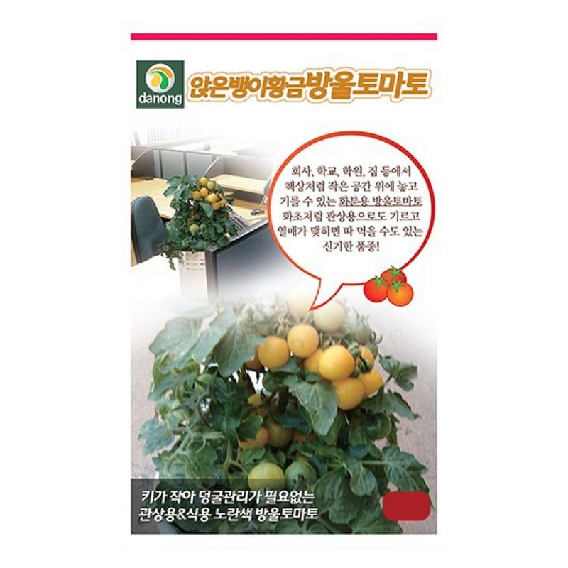 장터 상품 [[다농] 앉은뱅이 방울토마토(황금) 50립] 썸네일