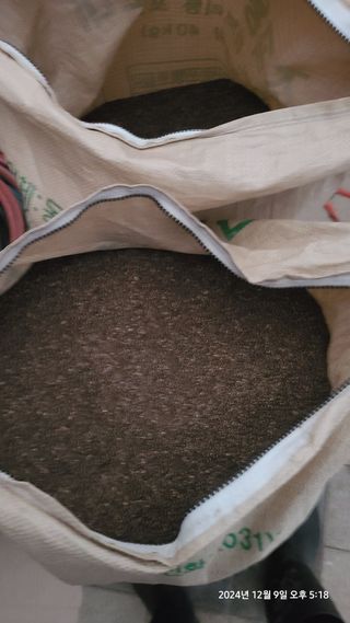 삼신령님의 2024년 출석왕중왕 결과 공유해요 👑 · 참여글 작성글 사진