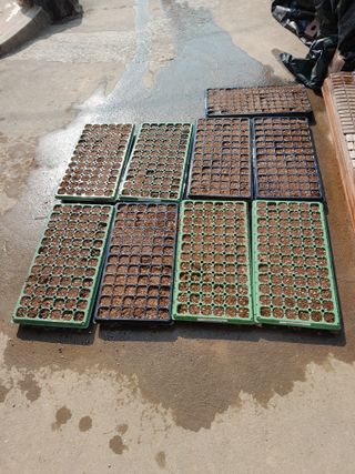 김민수산에서농사중님의 자유주제 · 자유게시판 작성글 사진