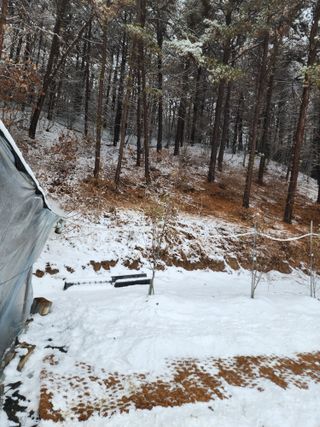 체리농원님의 2024년 출석왕중왕 결과 공유해요 👑 · 참여글 작성글 사진