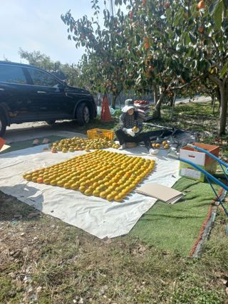 김년욱님의 2024년 출석왕중왕 결과 공유해요 👑 · 참여글 작성글 사진