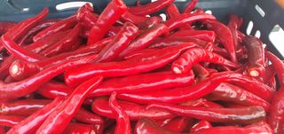 류창열 님의 2024년 출석왕중왕 결과 공유해요 👑 · 참여글 작성글 사진