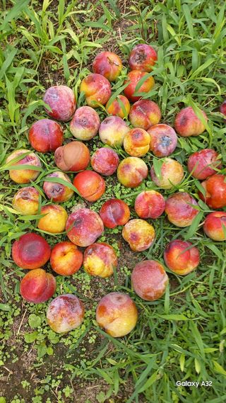 배해용님의 2024년 출석왕중왕 결과 공유해요 👑 · 참여글 작성글 사진