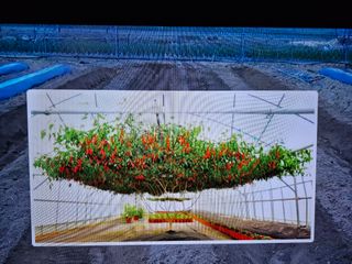 툇마루님의 2024년 출석왕중왕 결과 공유해요 👑 · 참여글 작성글 사진