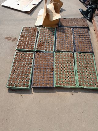 김민수산에서농사중님의 자유주제 · 자유게시판 작성글 사진