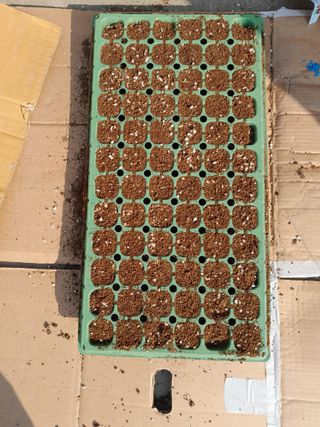 김민수산에서농사중님의 자유주제 · 자유게시판 작성글 사진