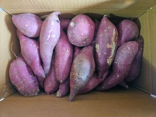 이재관(황토속애)님의 작성글 사진