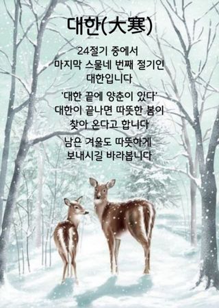 Kbd1961님의 2024년 출석왕중왕 결과 공유해요 👑 · 참여글 작성글 사진
