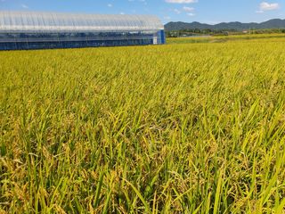 딸기15519님의 2024년 출석왕중왕 결과 공유해요 👑 · 참여글 작성글 사진