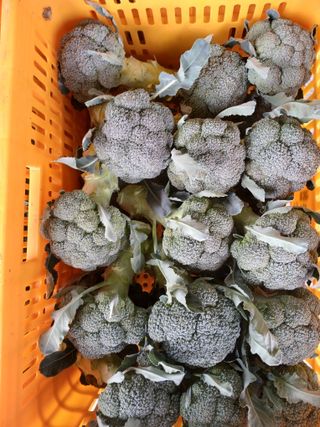 김형래님의 2024년 출석왕중왕 결과 공유해요 👑 · 참여글 작성글 사진