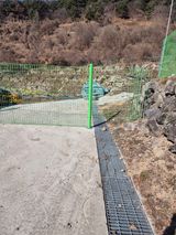 팜모닝 2024년 출석왕중왕 결과 공유해요 👑·참여글 게시글 이미지