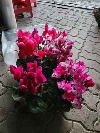 자두21067님의 2024년 출석왕중왕 결과 공유해요 👑 · 참여글 작성글 사진