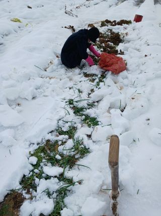 화성단삼님의 2024년 출석왕중왕 결과 공유해요 👑 · 참여글 작성글 사진