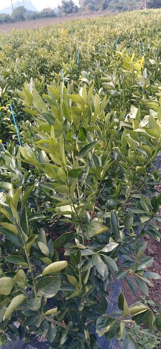 참깨8508님의 2024년 출석왕중왕 결과 공유해요 👑 · 참여글 작성글 사진