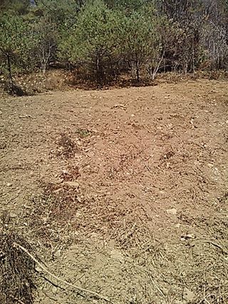 대파19708님의 2024년 출석왕중왕 결과 공유해요 👑 · 참여글 작성글 사진