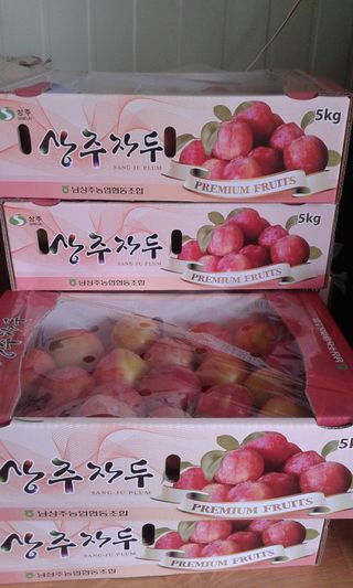 배해용님의 2024년 출석왕중왕 결과 공유해요 👑 · 참여글 작성글 사진