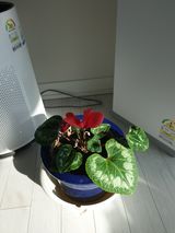 팜모닝 다가오는 대한, 농가의 혹한 대비 어떻게 하고 계신가요?·참여글 게시글 이미지