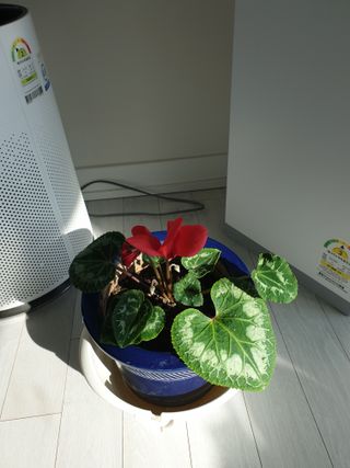 라재복님의 다가오는 대한, 농가의 혹한 대비 어떻게 하고 계신가요? · 참여글 작성글 사진