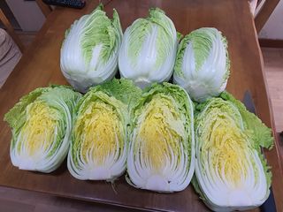 딸기15519님의 2024년 출석왕중왕 결과 공유해요 👑 · 참여글 작성글 사진