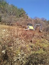 팜모닝 2024년 출석왕중왕 결과 공유해요 👑·참여글 게시글 이미지