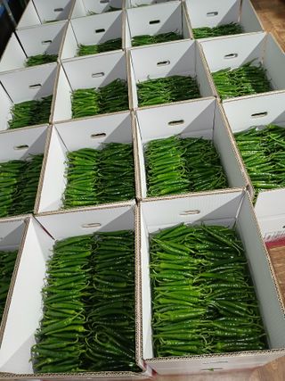 김형래님의 2024년 출석왕중왕 결과 공유해요 👑 · 참여글 작성글 사진