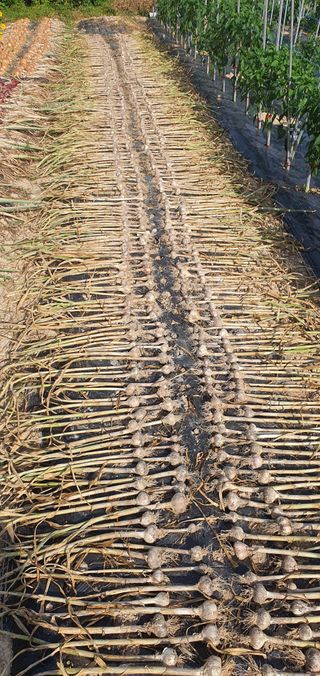 류창열 님의 2024년 출석왕중왕 결과 공유해요 👑 · 참여글 작성글 사진