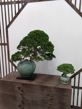 팜모닝 2024년 출석왕중왕 결과 공유해요 👑·참여글 게시글 이미지