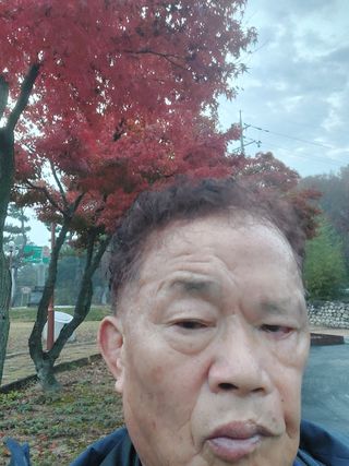 김치환님의 2024년 출석왕중왕 결과 공유해요 👑 · 참여글 작성글 사진