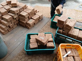 차민주님의 자유주제 · 자유게시판 작성글 사진