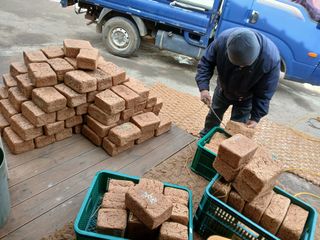 차민주님의 자유주제 · 자유게시판 작성글 사진