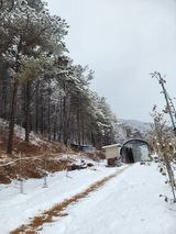 팜모닝 2024년 출석왕중왕 결과 공유해요 👑·참여글 게시글 이미지