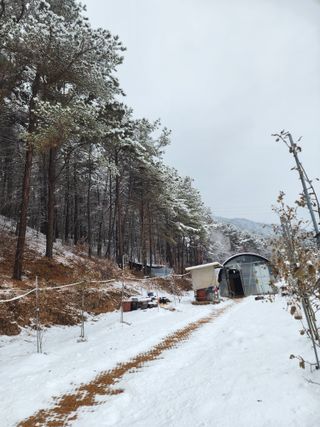 체리농원님의 2024년 출석왕중왕 결과 공유해요 👑 · 참여글 작성글 사진
