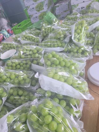 이원규님의 2024년 출석왕중왕 결과 공유해요 👑 · 참여글 작성글 사진