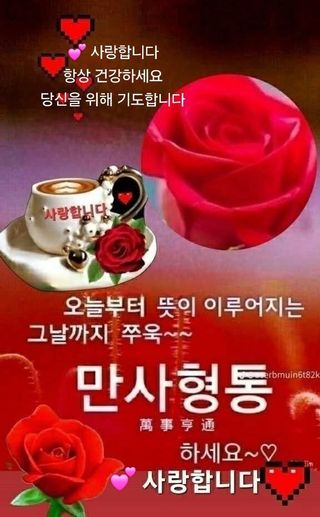 오명진님의 작성글 사진