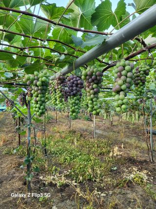 이상만님의 2024년 출석왕중왕 결과 공유해요 👑 · 참여글 작성글 사진