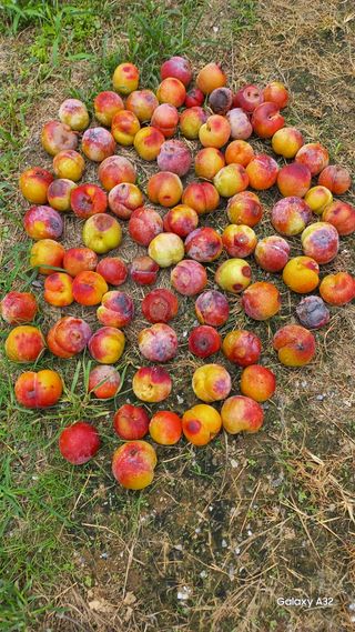 배해용님의 2024년 출석왕중왕 결과 공유해요 👑 · 참여글 작성글 사진