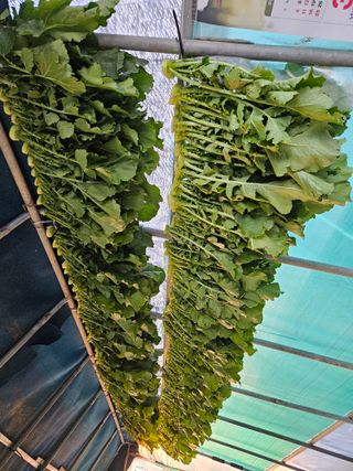 사이공박님의 2024년 출석왕중왕 결과 공유해요 👑 · 참여글 작성글 사진